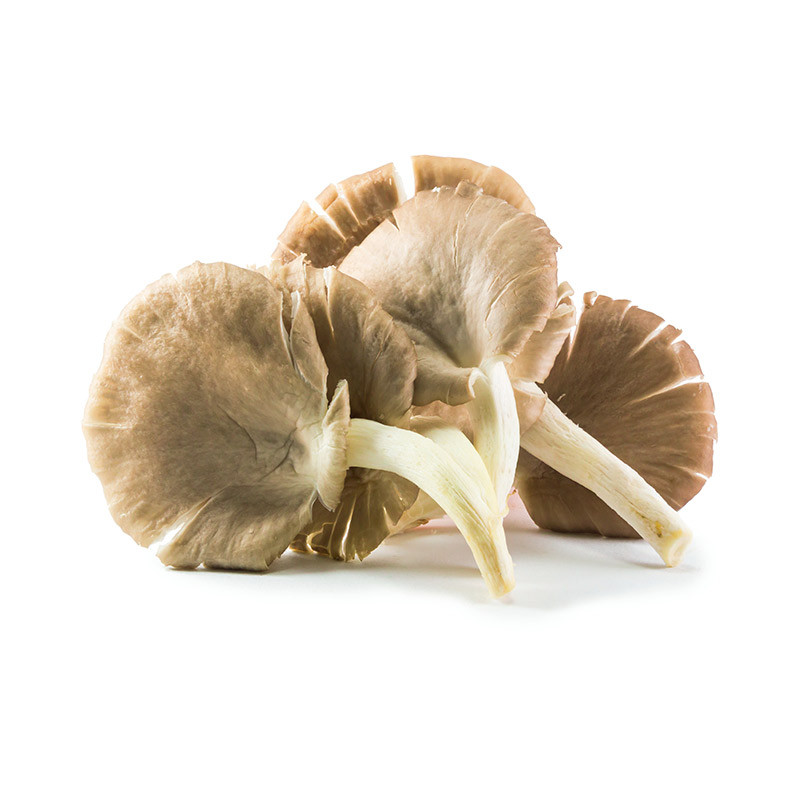 Grey Chanterelle Mushrooms
