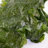 Algolesko Organic Fresh Salted Kombu Royal Seaweed