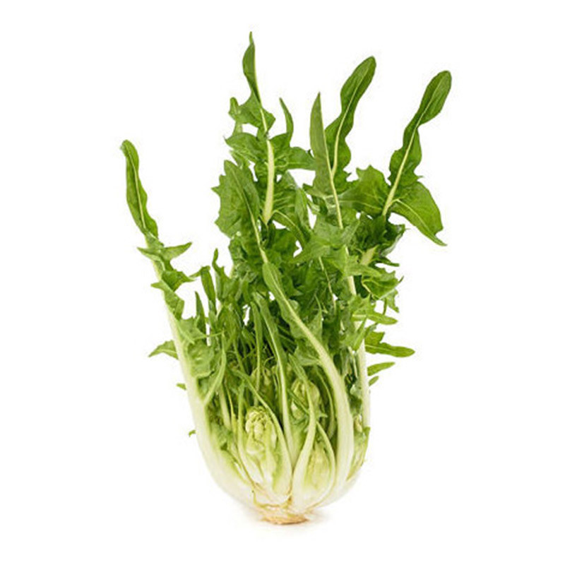 Puntarelle