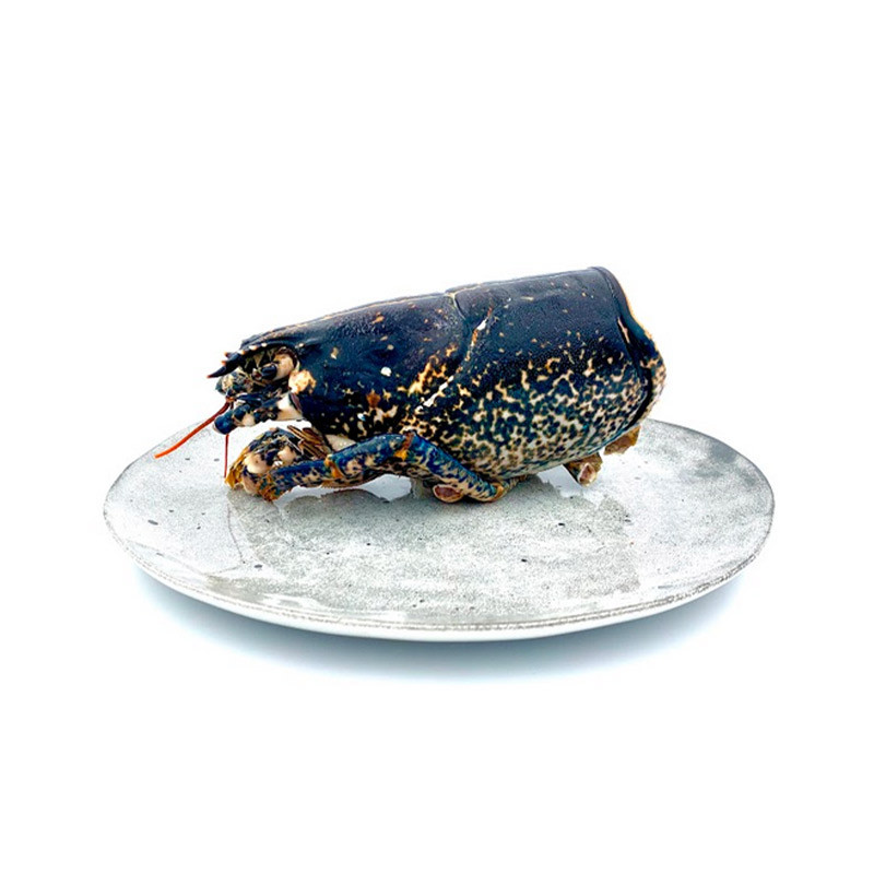 Cinq Degres Ouest Raw European Lobster Heads