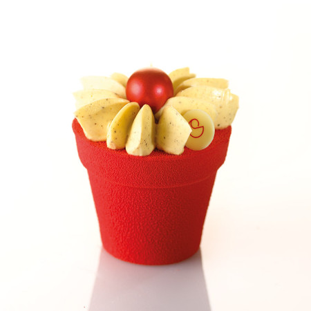 PCB Cocoa Butter Strawberry Red