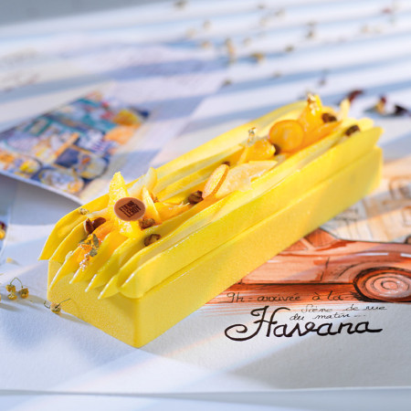 PCB Creation Natural Egg Yolk Yellow Cocoa Butter