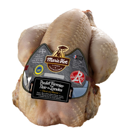 Les Fermiers Landais Black Leg Chicken