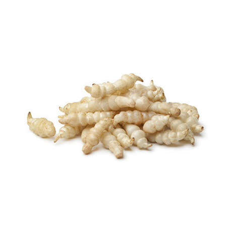 Crosnes