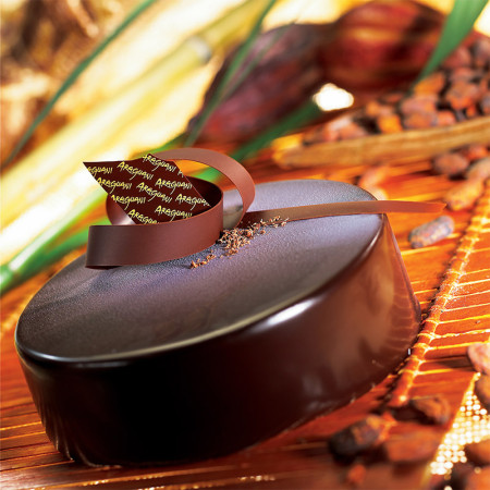 Valrhona Dark Chocolate Block Xocoline 65%