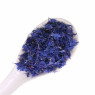 Dried Cornflower