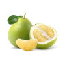 Pomelo