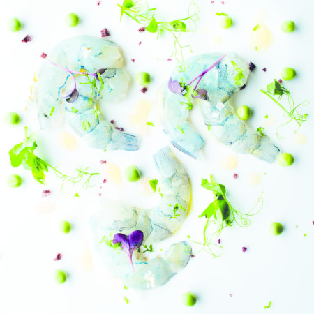 Obsiblue Crystal Blue Prawns