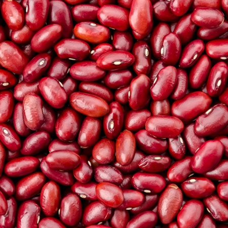 Pulses Masterclass by Russell Bateman 9.02.26