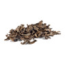 Plantin Dried Black Trumpet Mushrooms