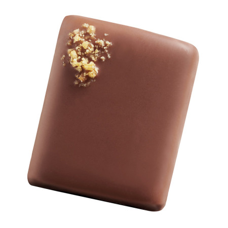 Valrhona  Milk Corn Almond Praline Promesses Bonbon