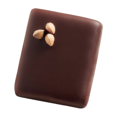 Valrhona Buckwheat Almond Praline Promesses Bonbon