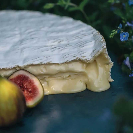 Baron Bigod Brie