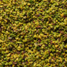 Pariani Chopped Sicilian Pistachio Nuts