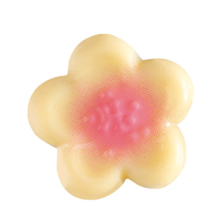 PCB Cherry Flowers White Chocolate 3 Designs