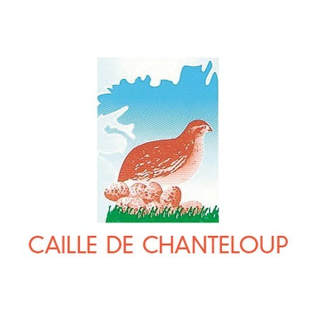 Caille De Chanteloup