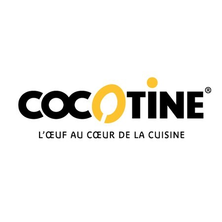 Cocotine