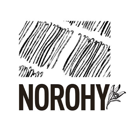 Norohy