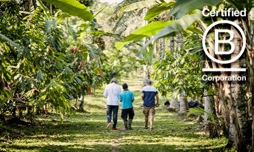 Valrhona Renews Its Commitment to Sustainability