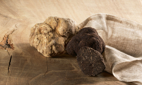 When Is The Truffle Season At Classic Fine Foods?