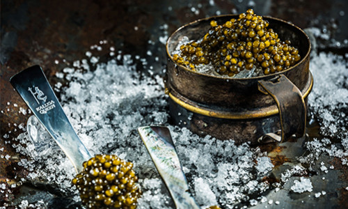 Unveiling the Culinary Excellence of Black Caviar by Kaluga Queen